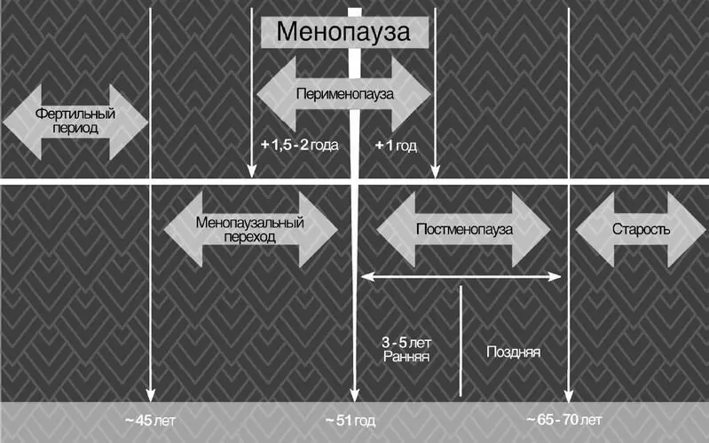 Стадии климакса 1 Пременопауза начинается с первых сбоев менструального - фото 1