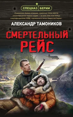 Александр Тамоников Смертельный рейс обложка книги