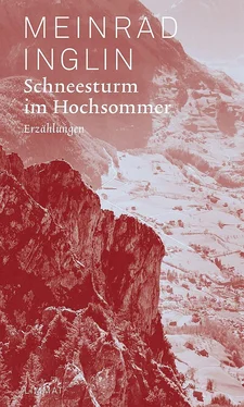 Meinrad Inglin Schneesturm im Hochsommer обложка книги