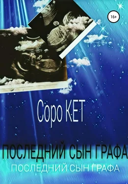 Соро Кет Последний сын графа обложка книги