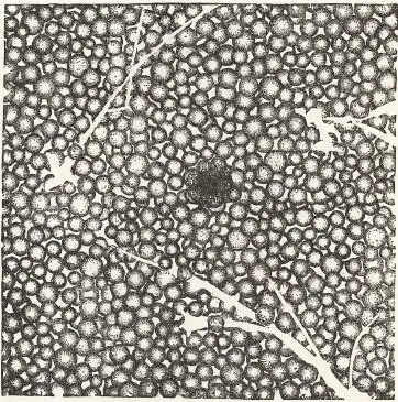 Plate 7XSARJIS or end of the semuan age that is the tiem of the - фото 9