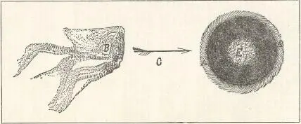 A Atmospherea B Ethereans E Earth 7 Ahshong proceeded again and moved - фото 5