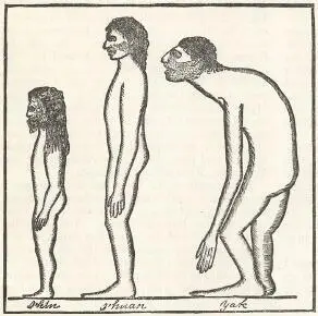 IHIN IHUAN YAK 21 Jehovih said I will confound the wise man in the latter - фото 7