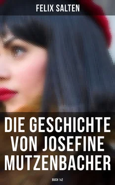 Felix Salten Die Geschichte von Josefine Mutzenbacher (Buch 1&2) обложка книги