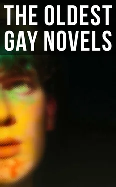 Radclyffe Hall The Oldest Gay Novels обложка книги