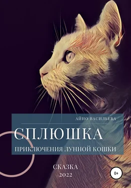 Айно Васильева Сплюшка. Приключения лунной кошки обложка книги