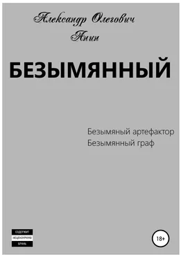 Александр Анин Безымянный обложка книги