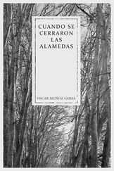 Oscar Muñoz Gomá - Cuando se cerraron las Alamedas