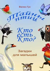 Вален Гук - Тайны птиц. Кто есть кто? Птичий маскарад
