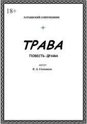 Владимир Степанов - Трава