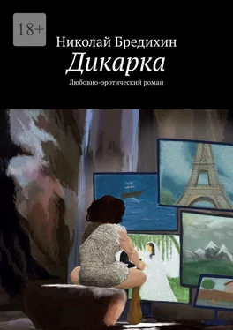 Николай Бредихин Дикарка. Любовно-эротический роман обложка книги