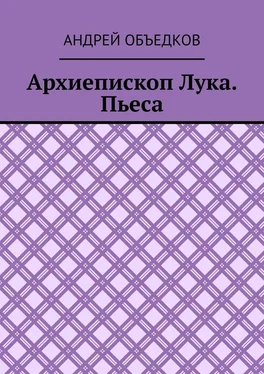 Андрей Объедков Архиепископ Лука. Пьеса обложка книги