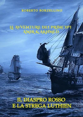 Roberto Borzellino Le avventure dei Principi Amir & Akhmed. Il Diaspro rosso e la strega Luthien обложка книги