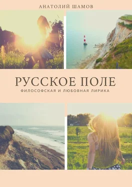 Анатолий Шамов Русское поле. Философская и любовная лирика обложка книги