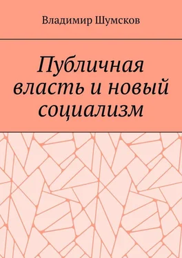 Владимир Шумсков Публичная власть и новый социализм обложка книги