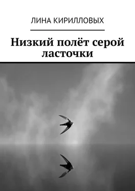 Лина Кирилловых Низкий полёт серой ласточки обложка книги
