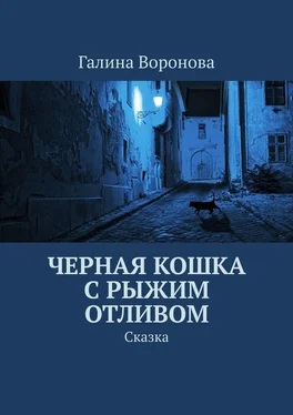 Галина Воронова Черная кошка с рыжим отливом. Сказка обложка книги