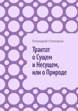 Геннадий Степанов Трактат о Сущем и Несущем, или о Природе обложка книги