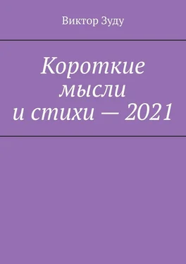 Виктор Зуду Короткие мысли и стихи – 2021 обложка книги