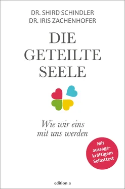 Iris Zachenhofer Die geteilte Seele обложка книги