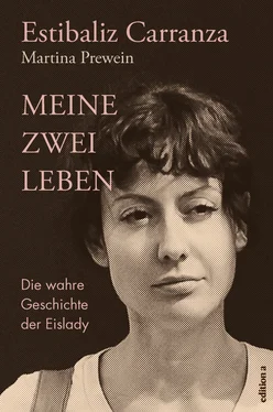 Martina Prewein Meine zwei Leben обложка книги