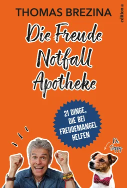 Thomas Brezina Die Freude Notfall Apotheke обложка книги