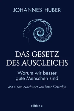 Johannes Huber Das Gesetz des Ausgleichs обложка книги