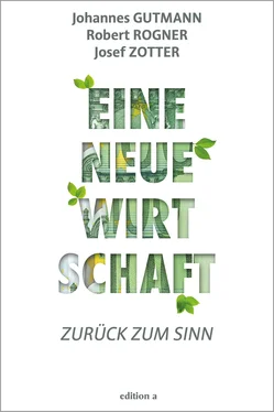 Johannes Gutmann Eine neue Wirtschaft обложка книги