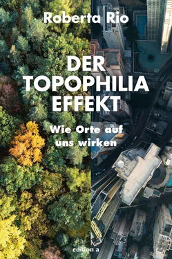 Roberta Rio Der Topophilia-Effekt обложка книги