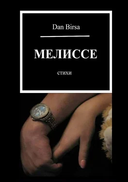 Dan Birsa Мелиссе. Стихи обложка книги