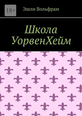 Эшли Вольфрам Школа УорвенХейм обложка книги