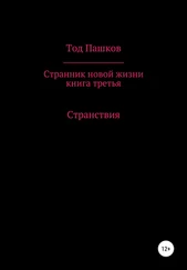 Тод Пашков - Странник новой жизни. Книга третья. Странствия