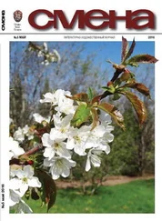 Наталия Солдатова - Выстрел из прошлого