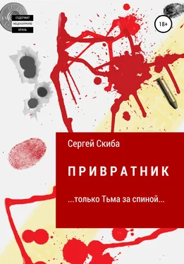 Сергей Скиба Привратник обложка книги