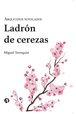 Miguel Tornquist Ladrón de cerezas обложка книги