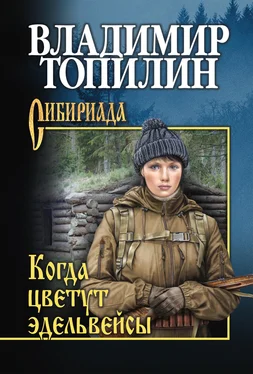 Владимир Топилин Когда цветут эдельвейсы (сборник) обложка книги