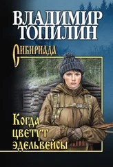 Владимир Топилин - Когда цветут эдельвейсы (сборник)