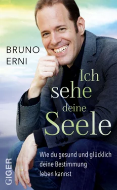 Bruno Erni Ich sehe deine Seele обложка книги