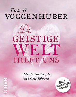 Pascal Voggenhuber Die geistige Welt hilft uns обложка книги