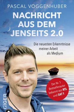 Pascal Voggenhuber Nachricht aus dem Jenseits 2.0 обложка книги