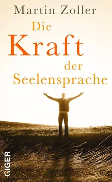 Martin Zoller Die Kraft der Seelensprache обложка книги