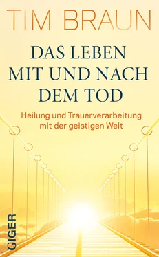 Tim Braun Das Leben mit und nach dem Tod обложка книги