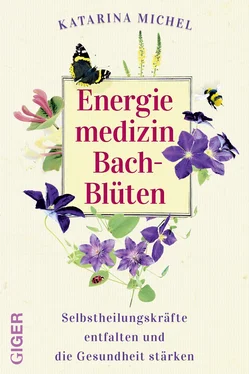Dr. Katarina Michel Energiemedizin Bach-Blüten обложка книги