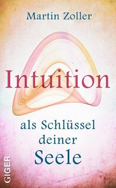 Martin Zoller Intuition als Schlüssel deiner Seele обложка книги