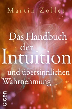 Martin Zoller Das Handbuch der Intuition und übersinnlichen Wahrnehmung обложка книги