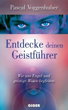 Pascal Voggenhuber Entdecke deinen Geistführer обложка книги