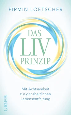 Pirmin Lötscher Das LIV Prinzip обложка книги