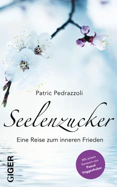 Patric Pedrazzoli Seelenzucker обложка книги