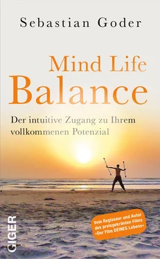 Sebastian Goder Mind life balance обложка книги