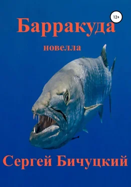 Сергей Бичуцкий Барракуда обложка книги